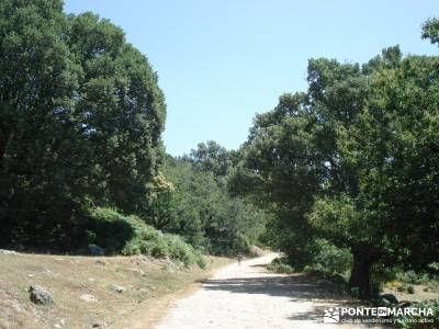 Pinares de Piedralaves;tienda de montaña madrid viajes singles madrid excursiones en madrid